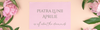 Diamantul – Piatra Lunii Aprilie: Eleganta, Putere si Claritate